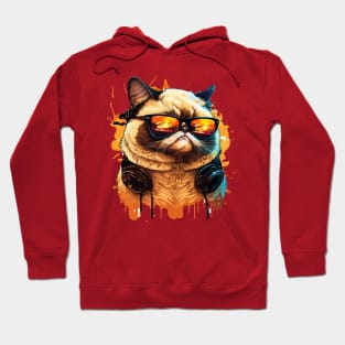 funny Cat wearing Sun Glasses happy summer holiday Hoodie